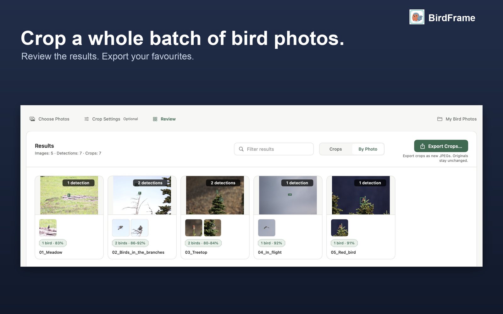 A batch of photos with each bird found and cropped