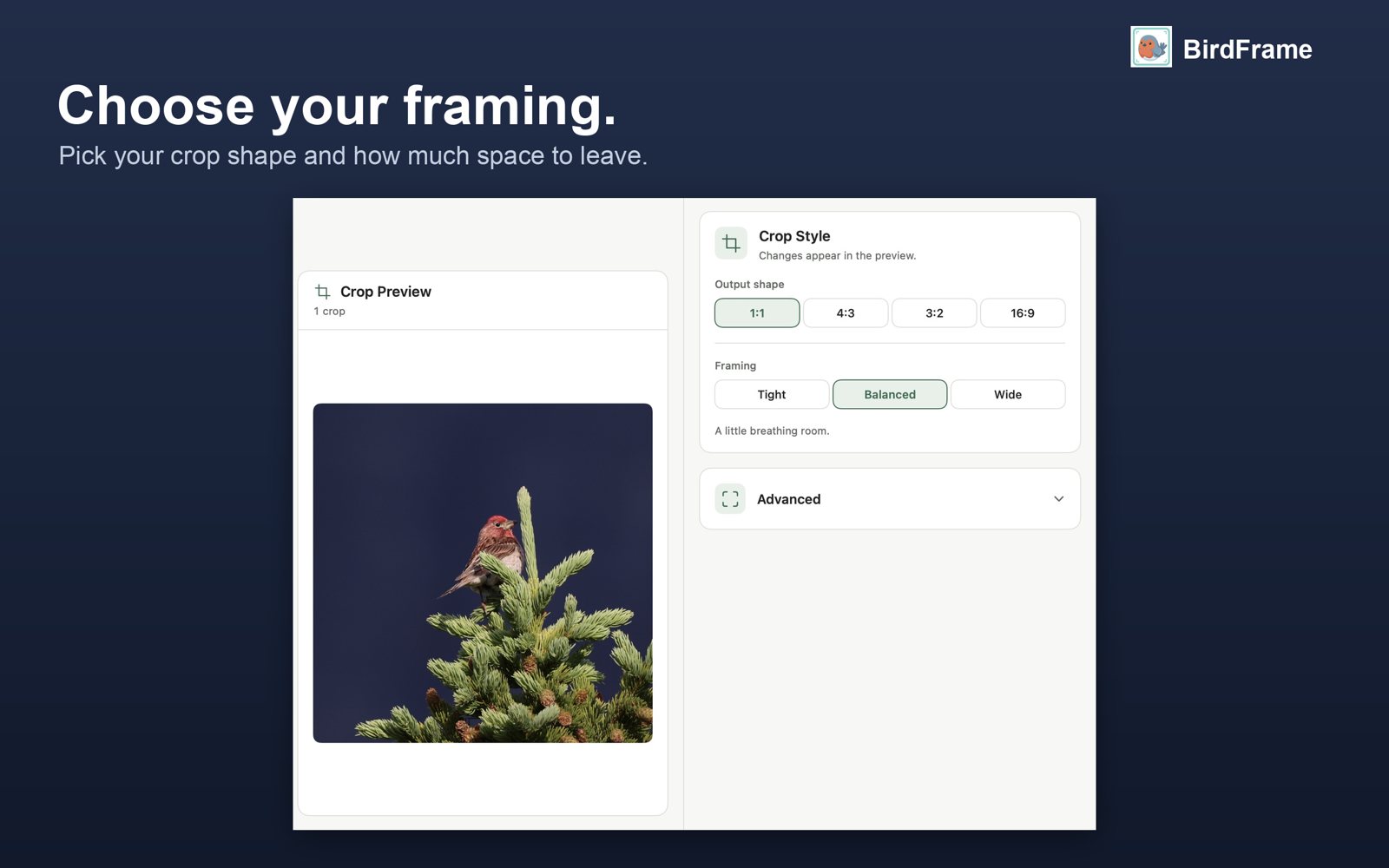 Choosing Tight, Balanced or Wide framing in BirdFrame